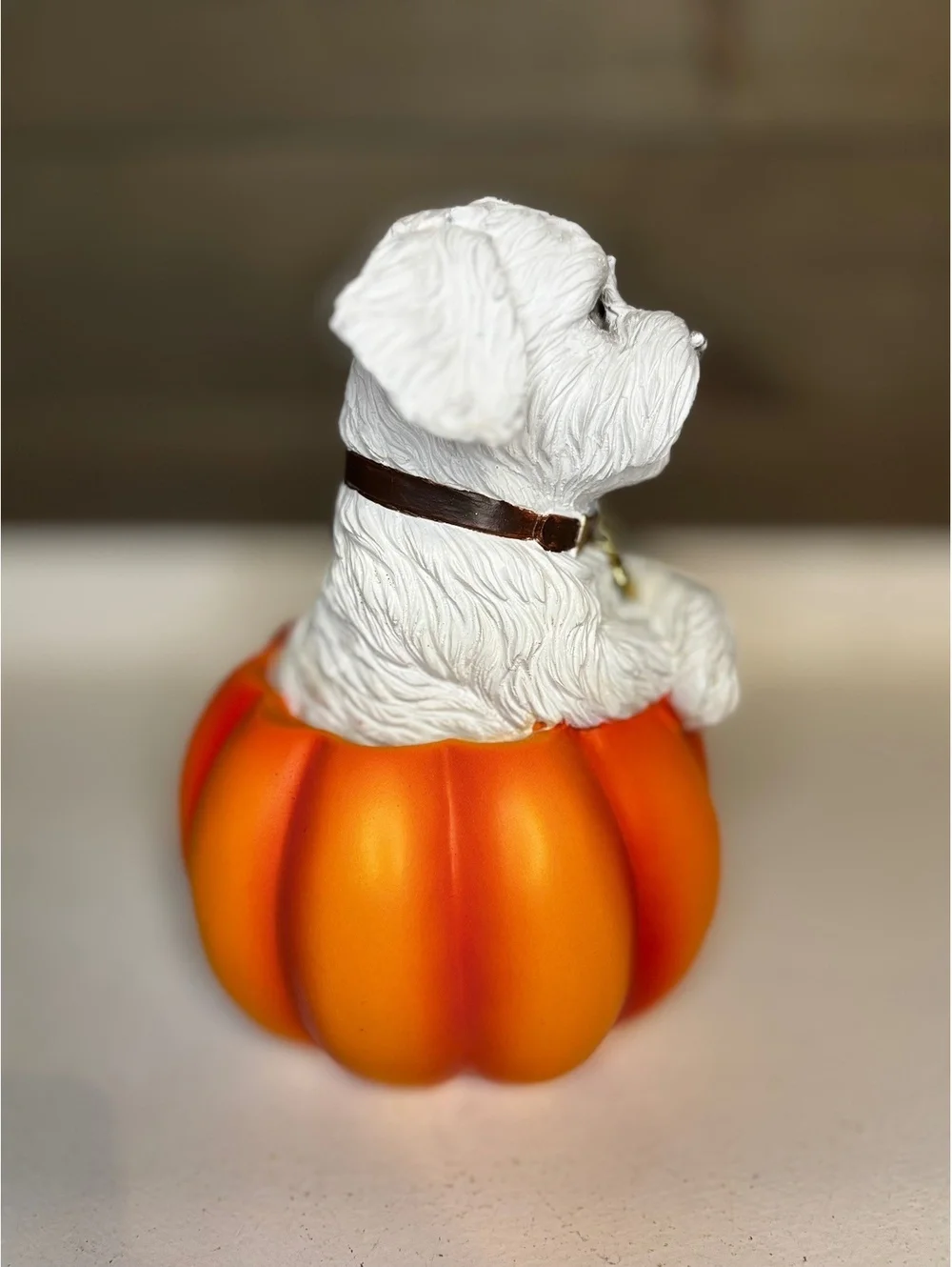 Fall Pumpkin Dog Figurine - Maltese Shih Tzu in Pumpkin Resin Decor 8